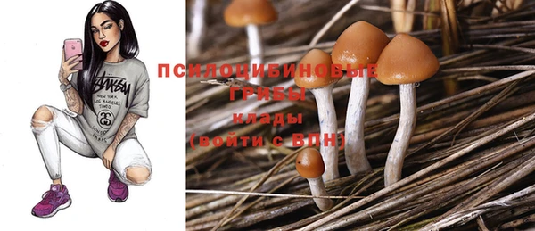 скорость Мегион