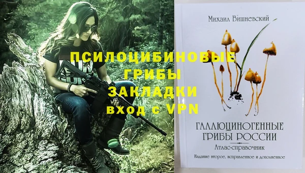 герыч Медногорск
