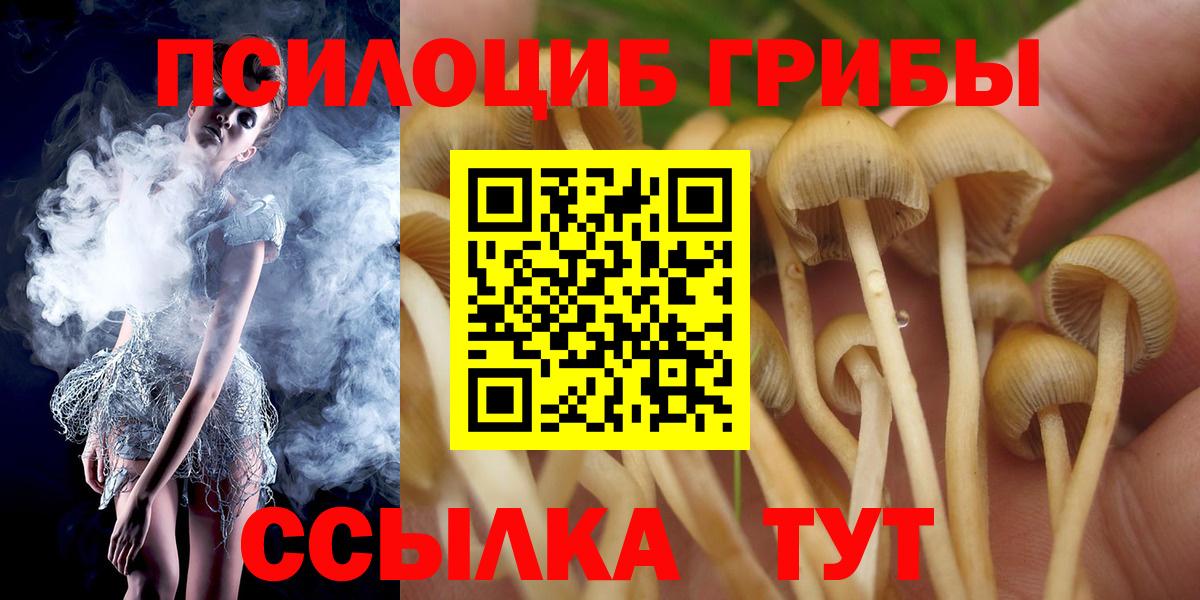 Псилоцибиновые грибы мицелий Энгельс