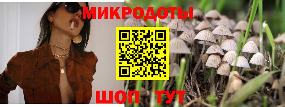 Псилоцибиновые грибы Psilocybe  Галлюциногенные грибы Psilocybe  Энгельс  Вход с VPN 